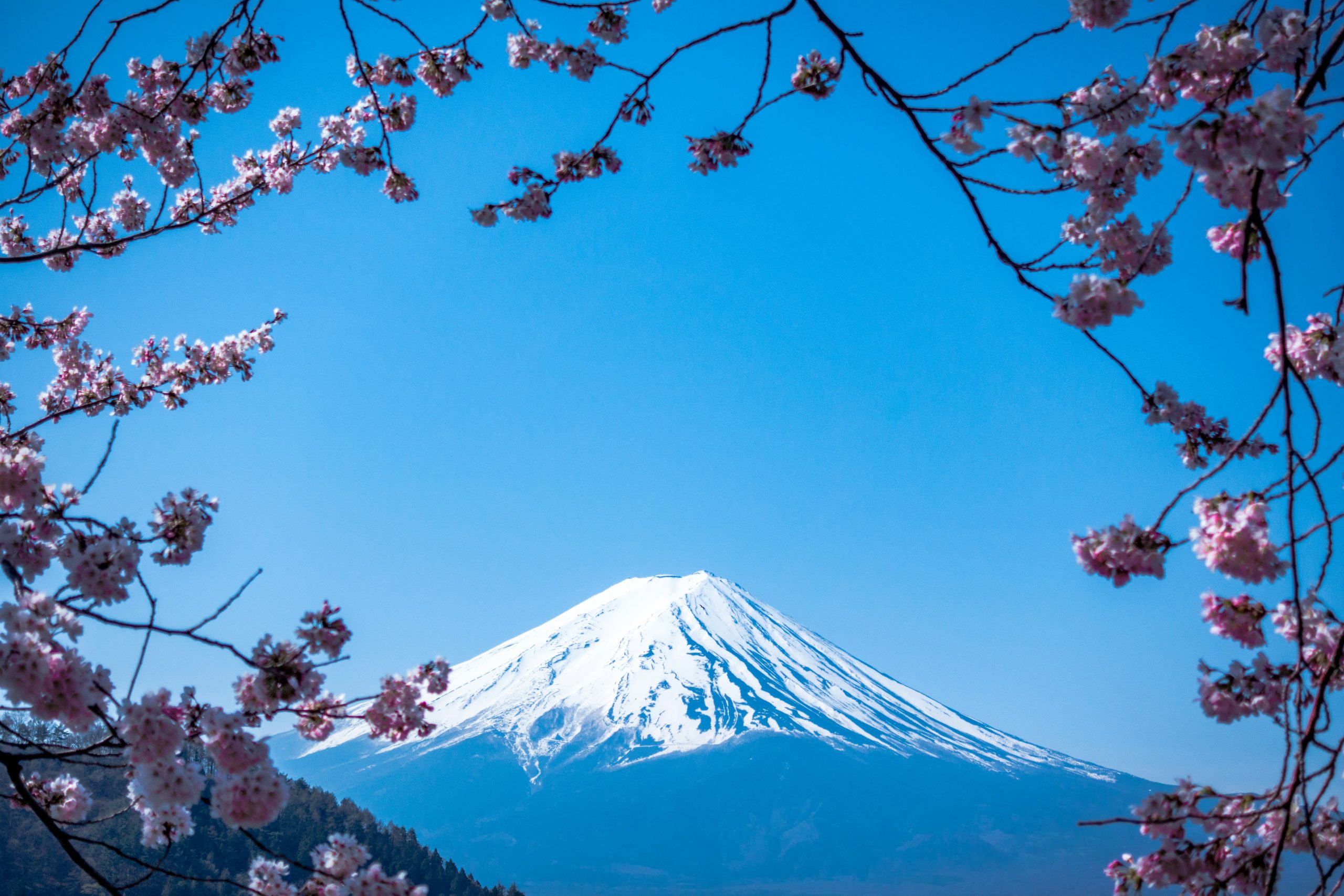 japan-4
